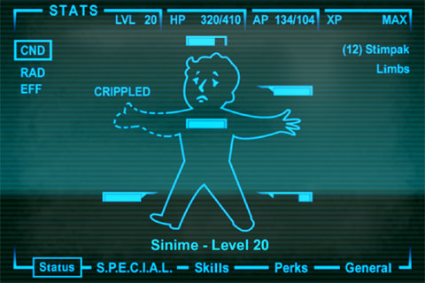 pip-320.jpg